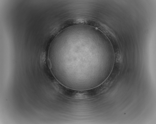 X0000113300560200909211123