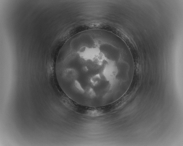 X0000113300561200909211123