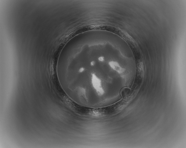 X0000113300565200909211123