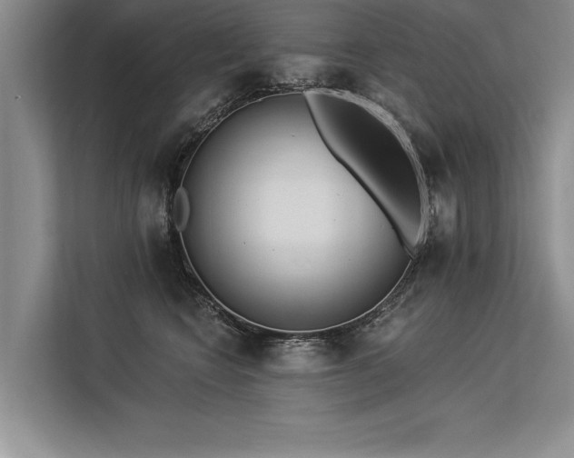 X0000113300566200909211123