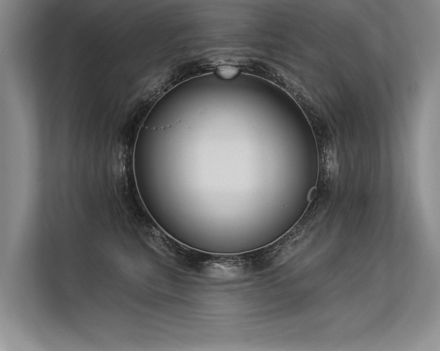 X0000113300567200909211124