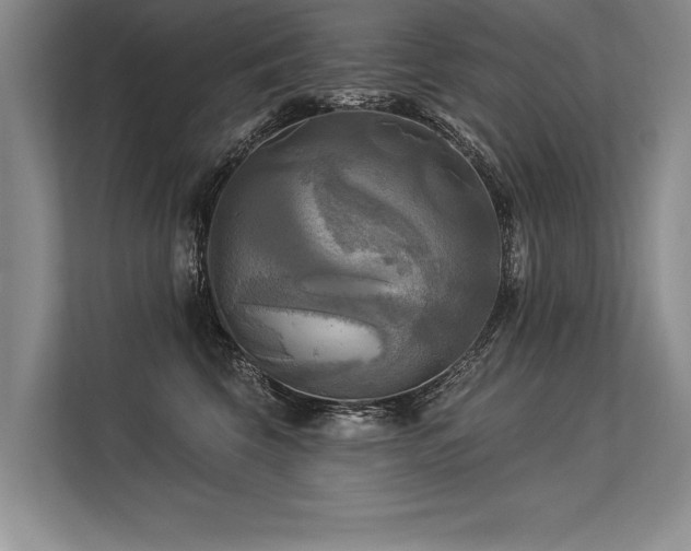 X0000113300569200909211124