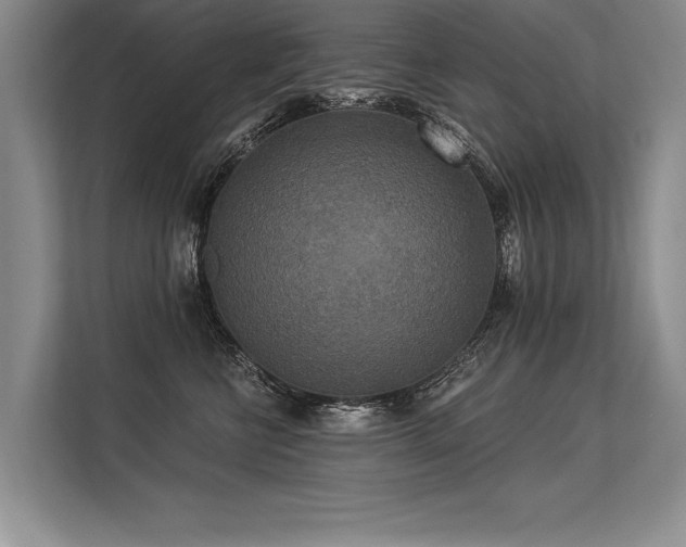 X0000113300570200909211124