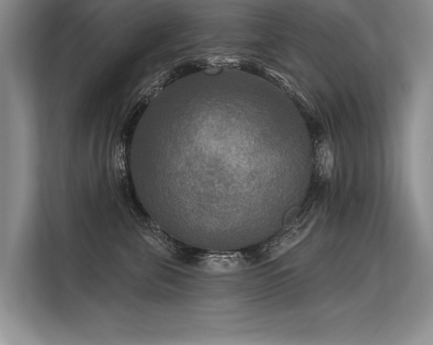 X0000113300571200909211124