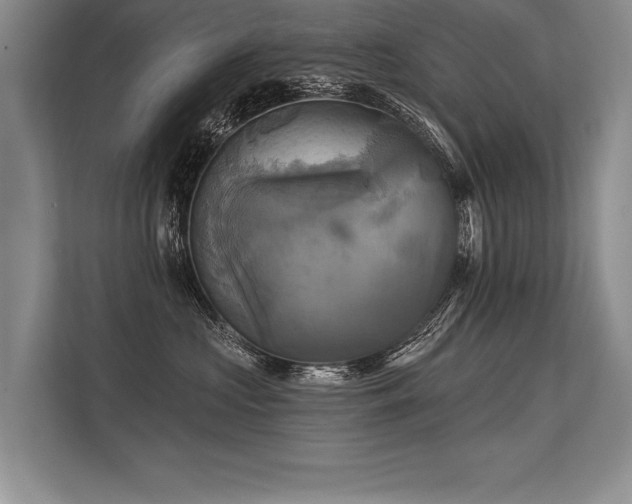 X0000113300573200909211124