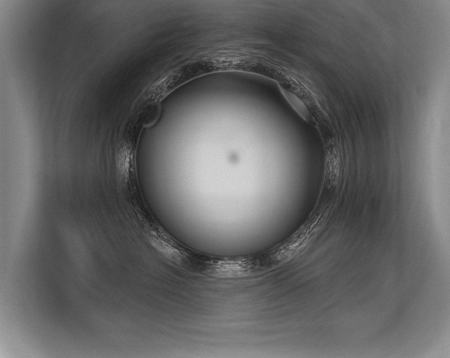 X0000113300574200909211124