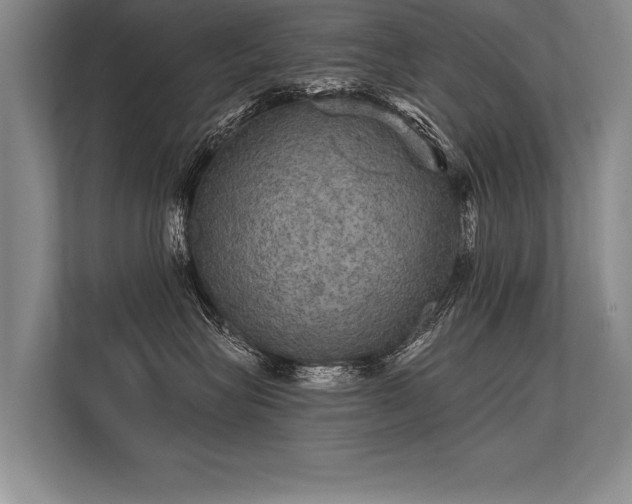 X0000113300575200909211124