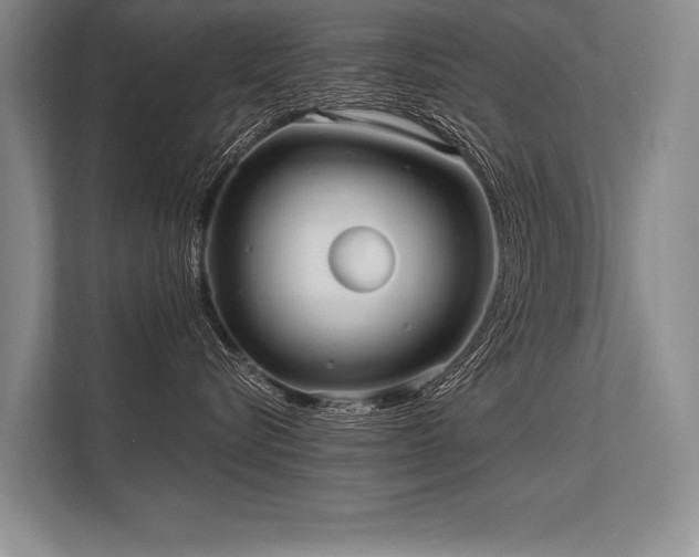 X0000113300576200909211124