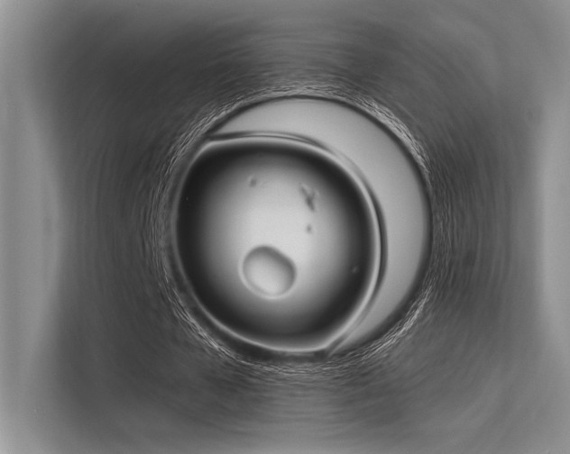 X0000113300577200909211123