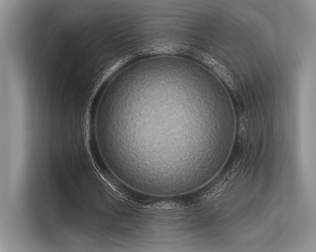 X0000113300578200909211123