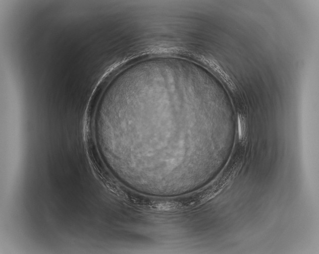 X0000113300579200909211123