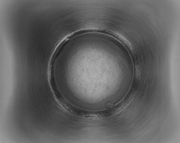 X0000113300580200909211123