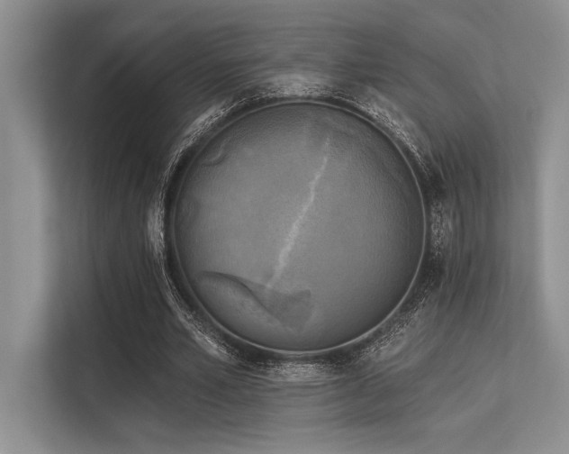 X0000113300581200909211123