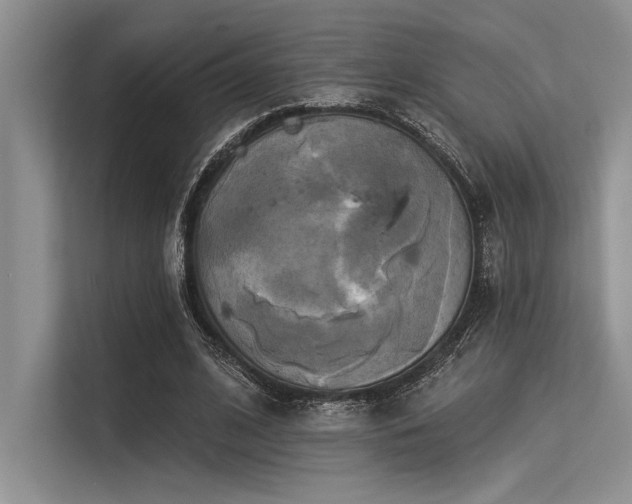 X0000113300584200909211123