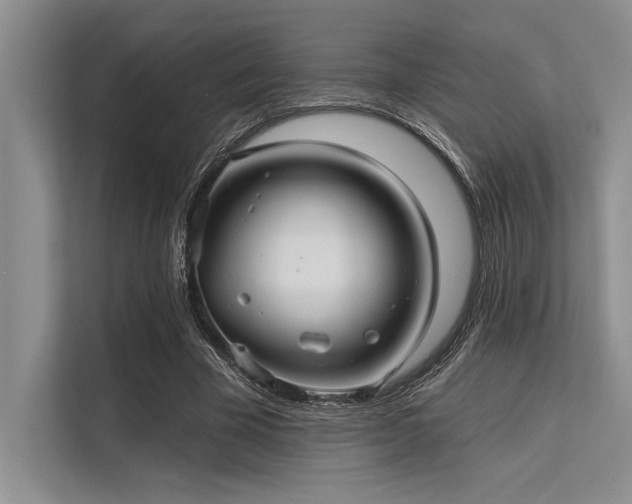 X0000113300585200909211123