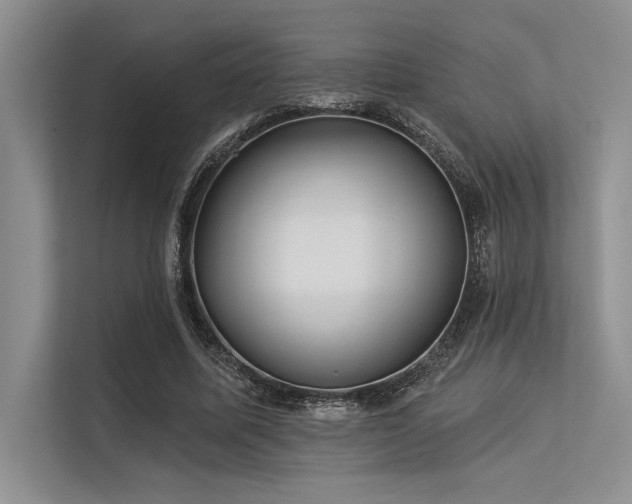 X0000113300587200909211123