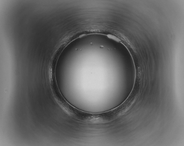 X0000113300589200909211123