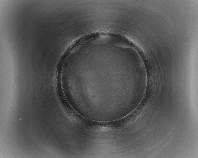 X0000113300592200909211123