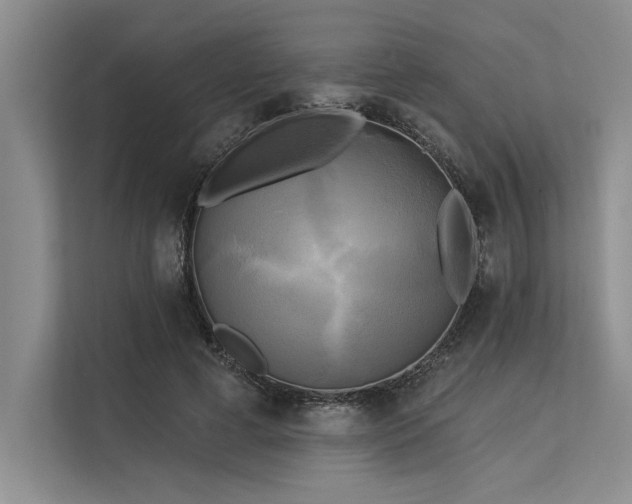 X0000113300593200909211123