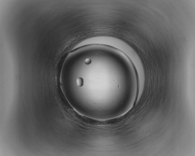 X0000113300595200909211123