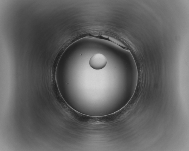 X0000113300597200909211123