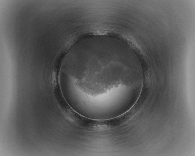 X0000113300598200909211123