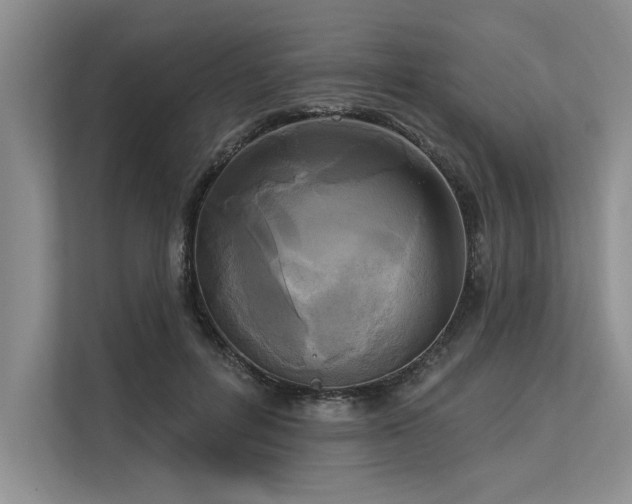 X0000113300600200909211123