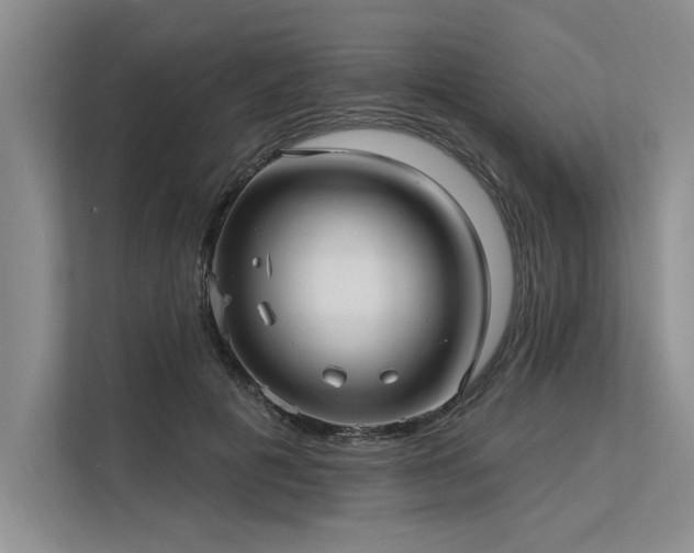 X0000113300601200909211123