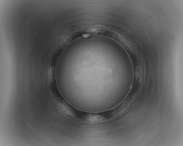 X0000113300605200909211123