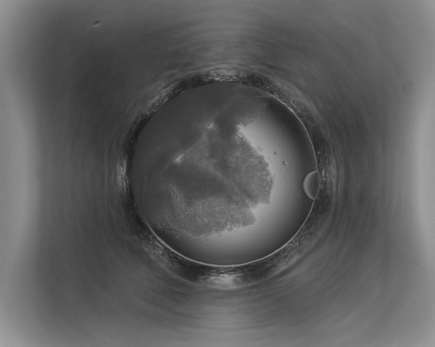 X0000113300610200909211123