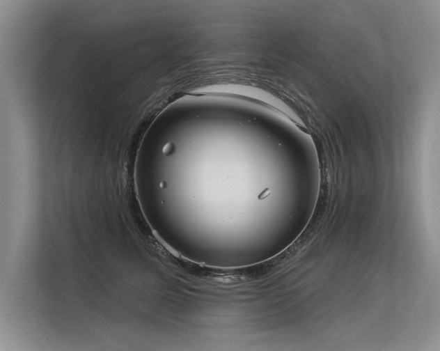 X0000113300611200909211123