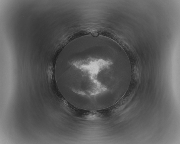 X0000113300612200909211123