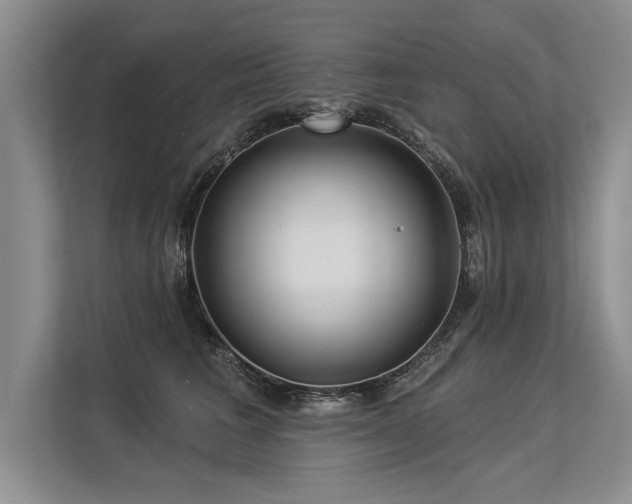 X0000113300613200909211123