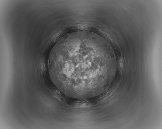 X0000113300615200909211123