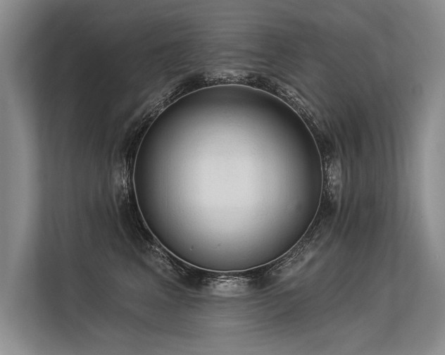 X0000113300617200909211122