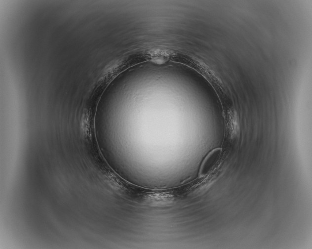 X0000113300619200909211122