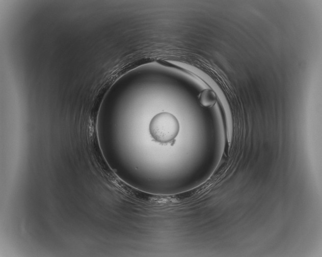 X0000113300621200909211122