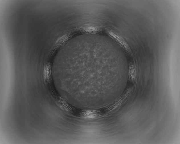 X0000113300623200909211122