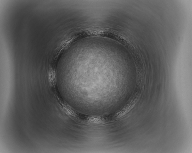 X0000113300624200909211122