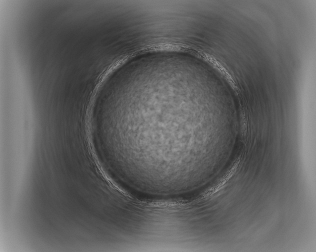 X0000113300625200909211122