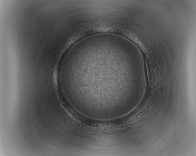 X0000113300626200909211122