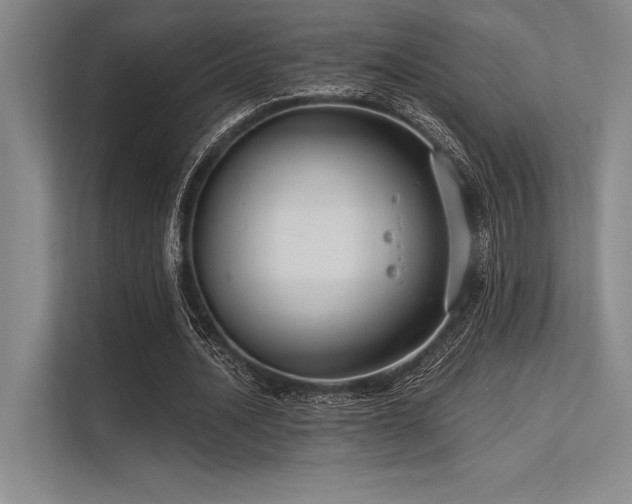 X0000113300628200909211122