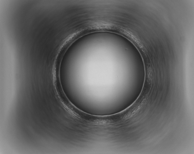 X0000113300629200909211122