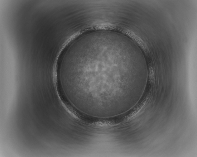 X0000113300630200909211122