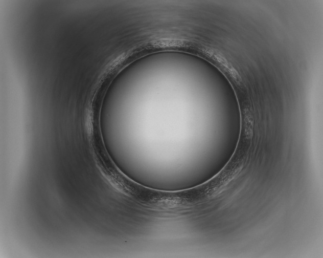 X0000113300631200909211122