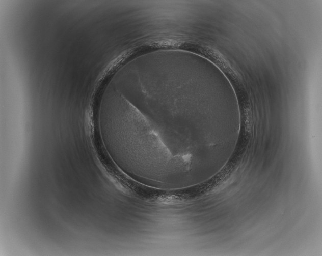 X0000113300634200909211122