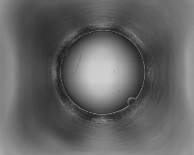 X0000113300635200909211122