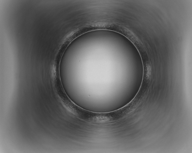 X0000113300636200909211122