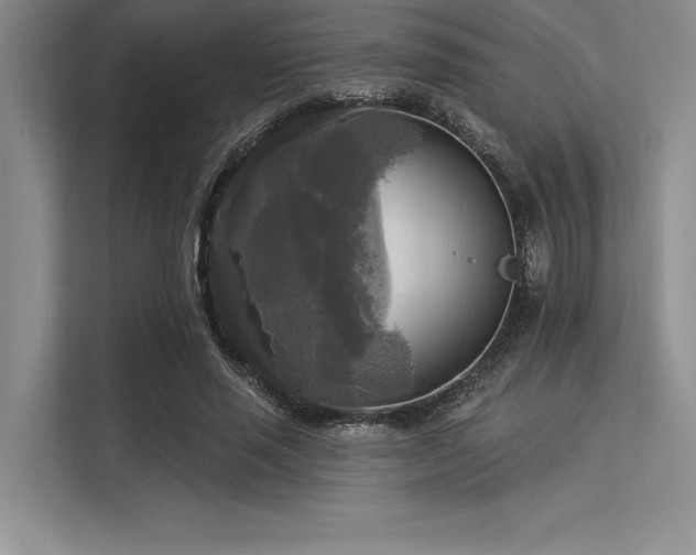 X0000113300637200909211122