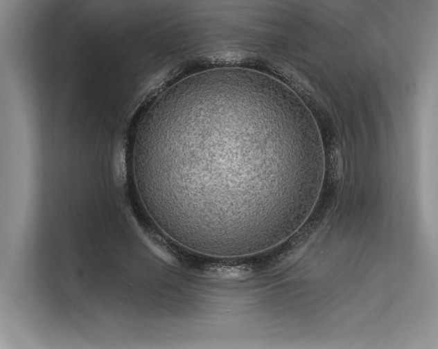 X0000113300638200909211122